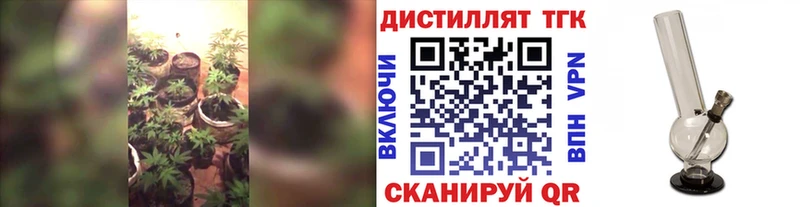 Дистиллят ТГК концентрат  купить закладку  Плавск 